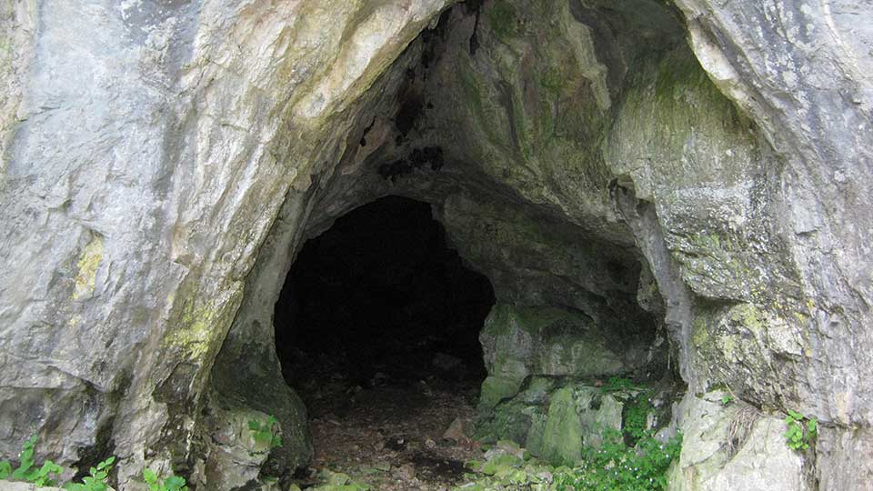 Пештера Ѓоновица